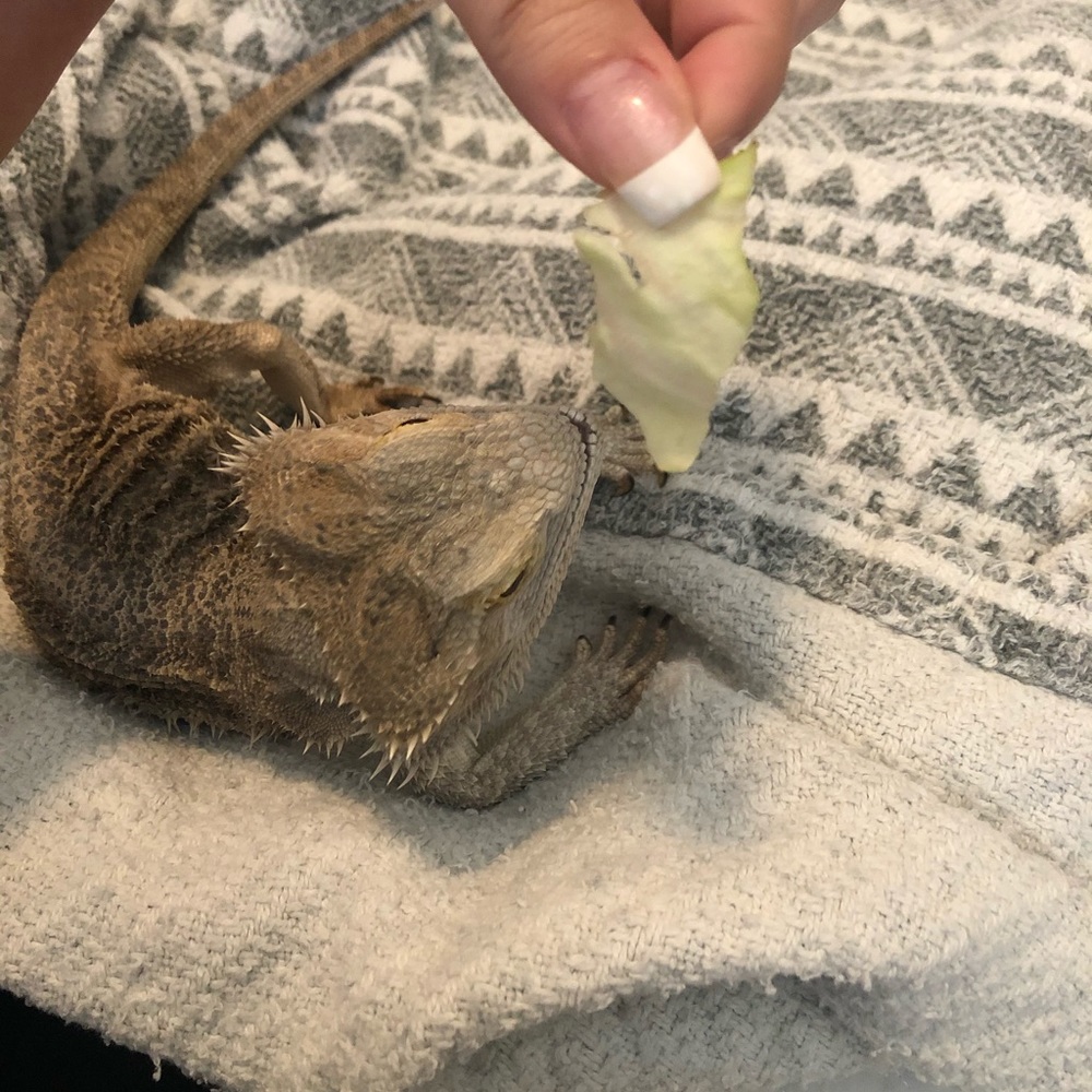 Meet your Posher, Daniela